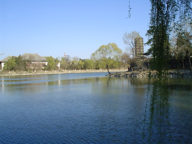 ... d&eacute;gel