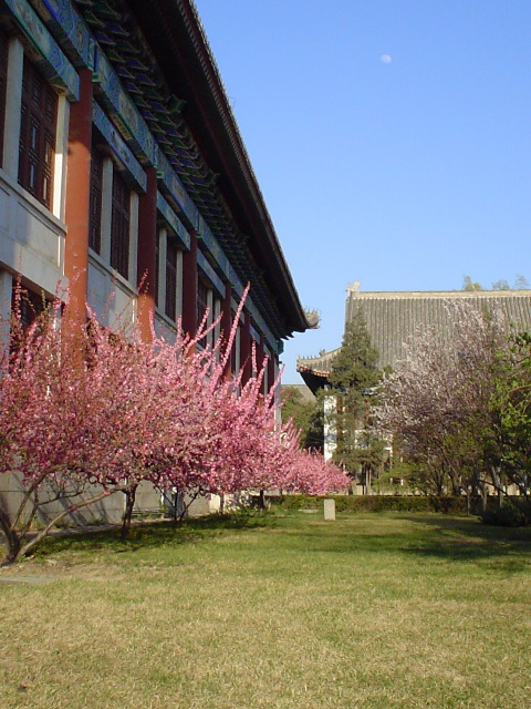 Mus&eacute;e fleuri