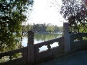 Petite &icirc;le vue d'un petit pont