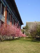 Mus&eacute;e fleuri