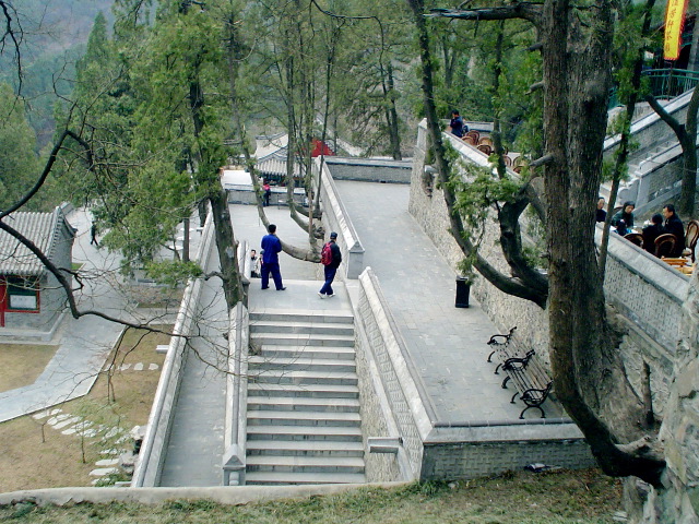 Trees in walls