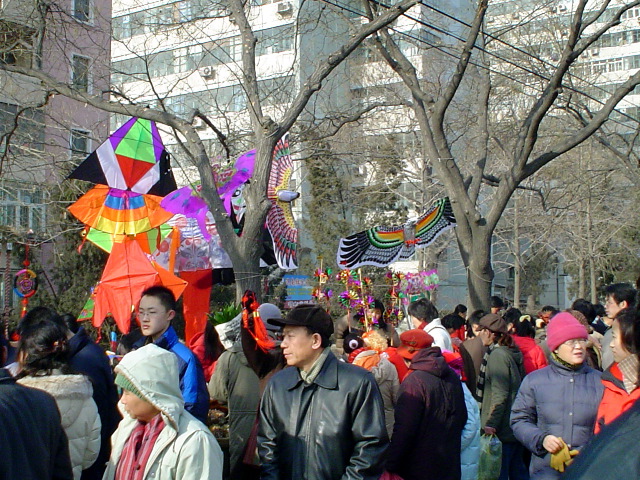 Baiyun Lu kites