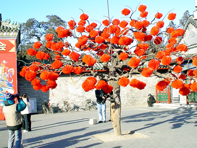 D&igrave;t&aacute;n (地坛, Earth Altar) Temple lanterns
