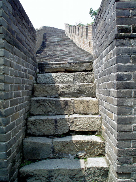 Climbing and twisting and turning