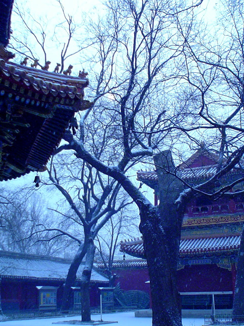 Lama Temple courtyard 