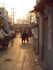 Beijing hutong, coal cart