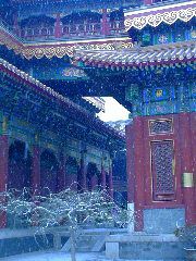 Lama Temple courtyard