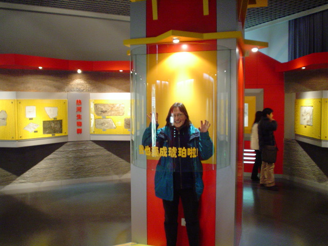 Natural_History_exhibit.JPG